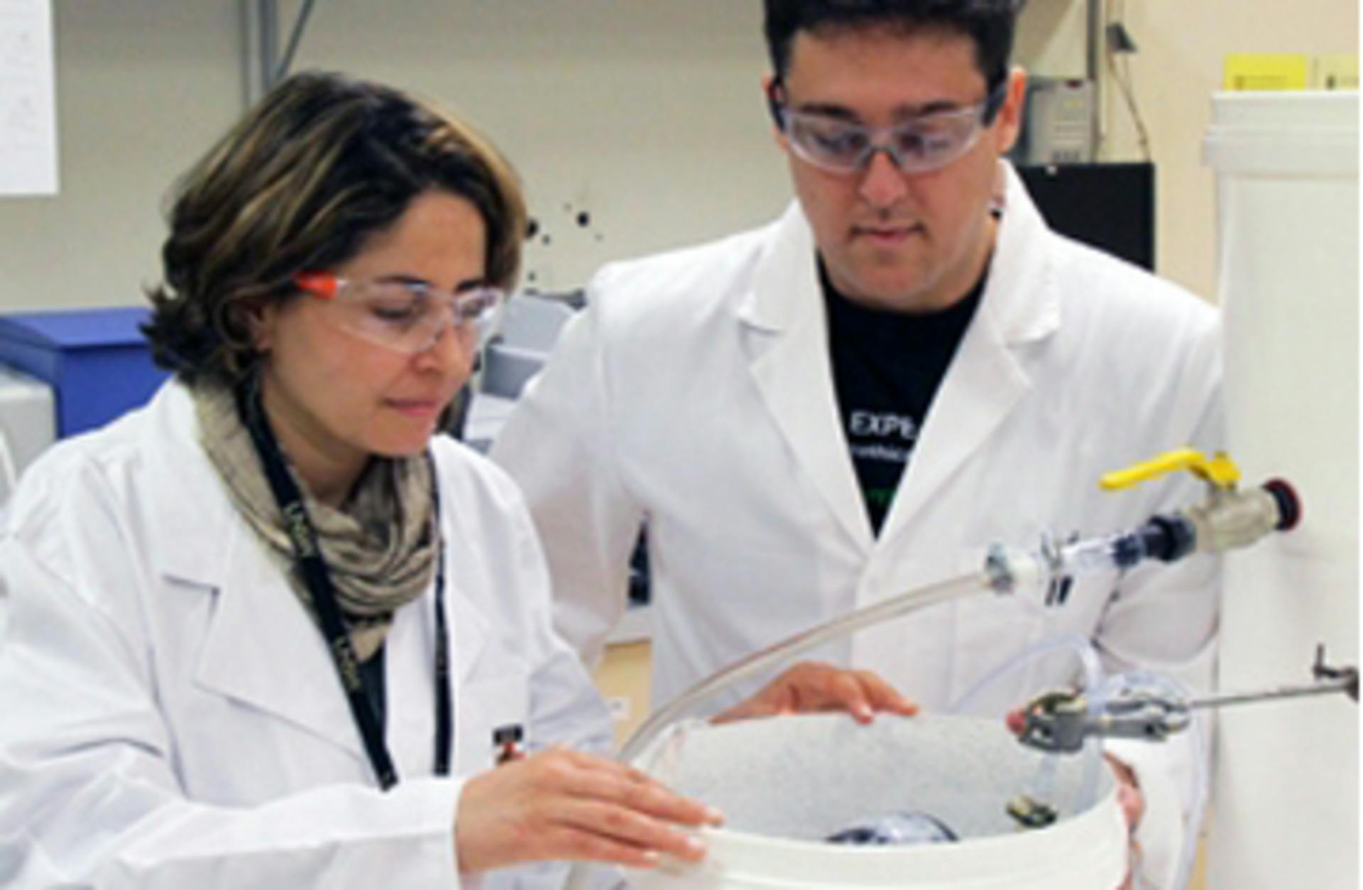 UNSW Engineers