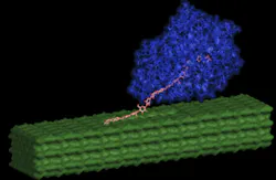 Enzyme for Biomass Enzyme for Biomass