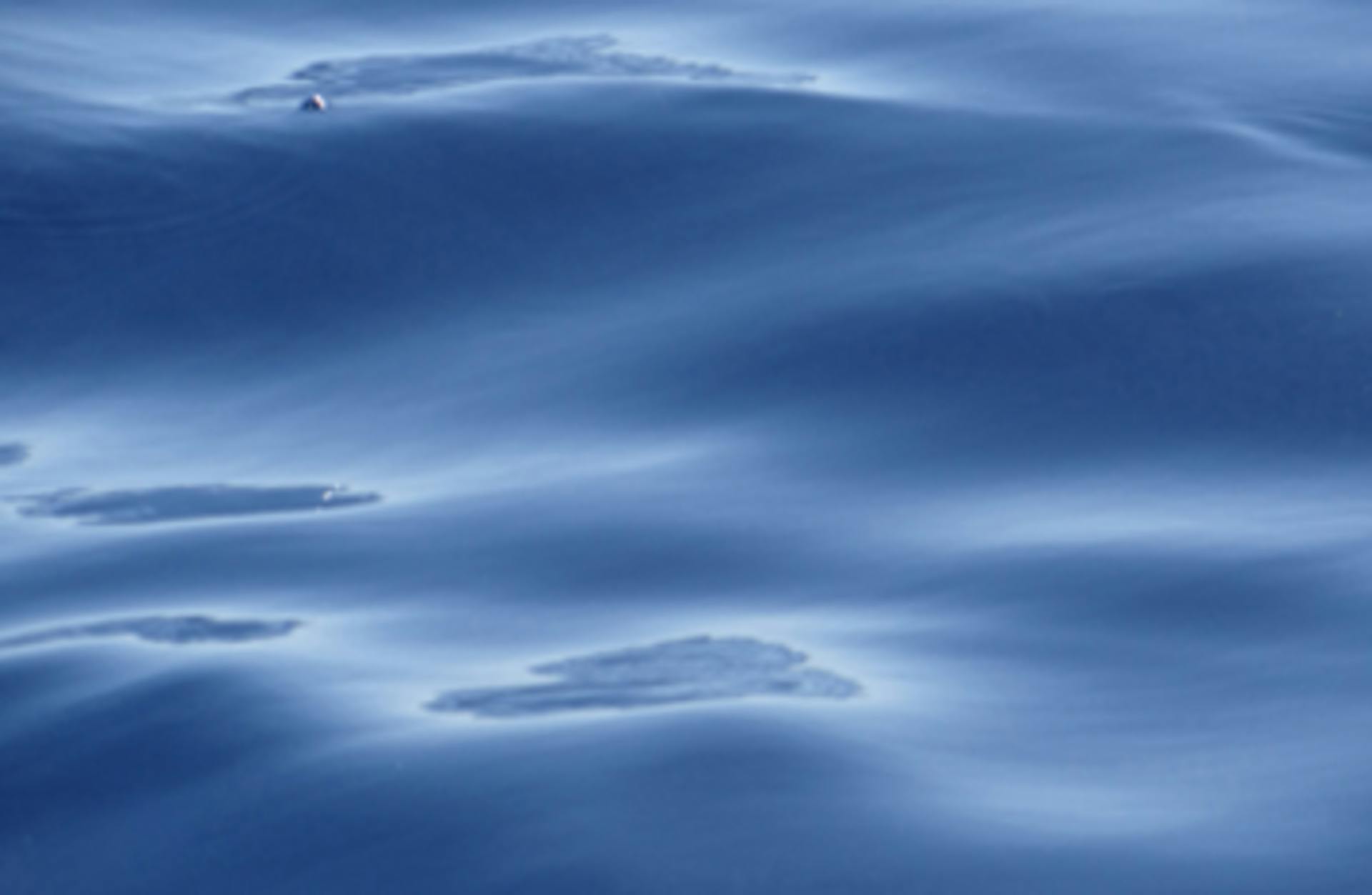 Deepwater Horizon Oil Sheen Photo credit: Chris Reddy