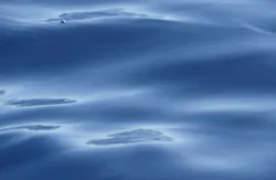 Deepwater Horizon Oil Sheen Photo credit: Chris Reddy Deepwater Horizon Oil Sheen Photo credit: Chris Reddy