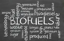 Clean Energy Solutions Clean Energy Solutions