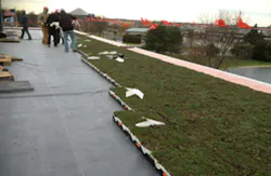 Badger Meter Green Roof Installation