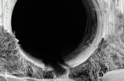 TS_116512152GettyImages/iStock/ThinkStock TS_116512152GettyImages/iStock/ThinkStock