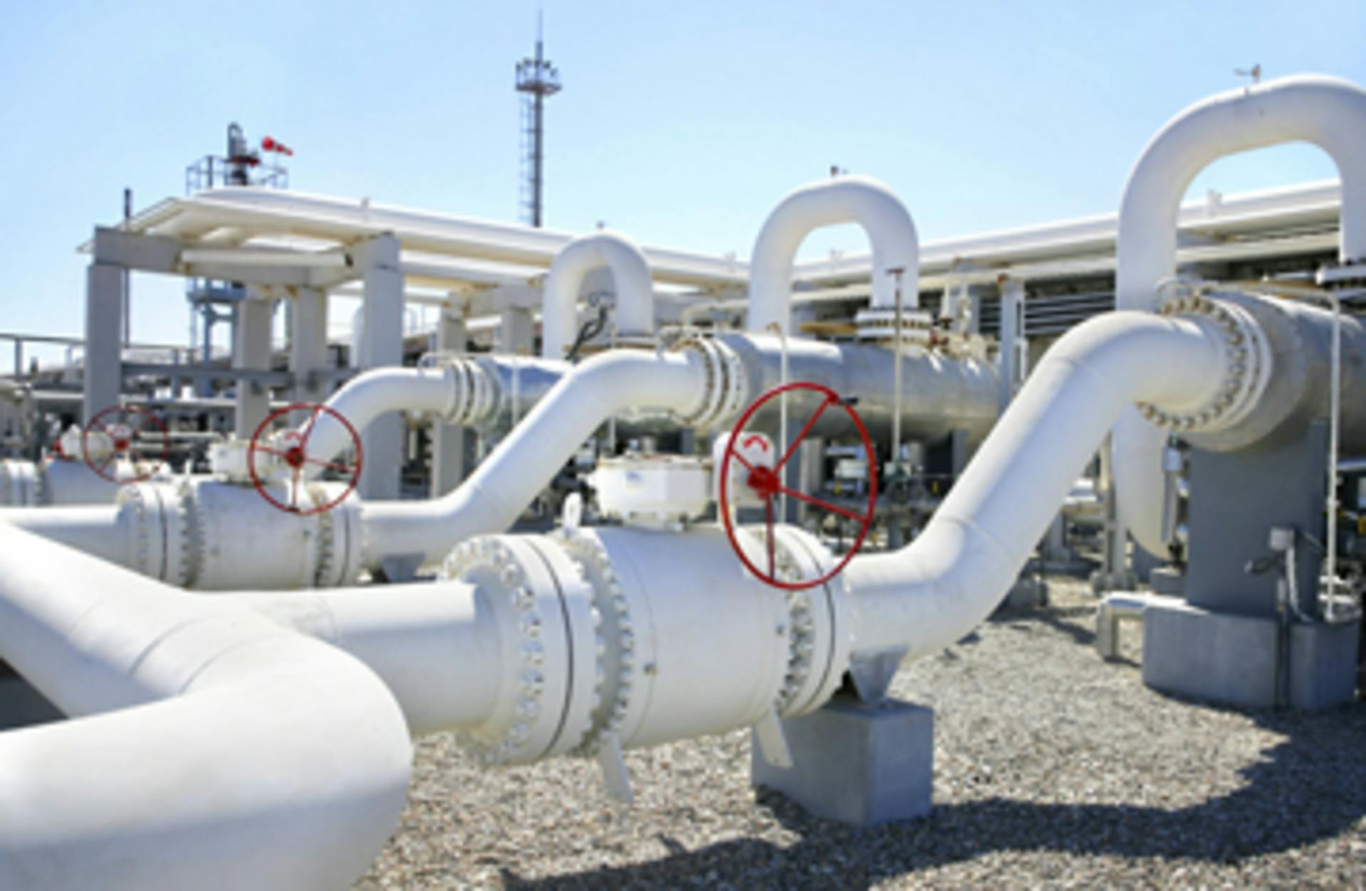 insagostudio/iStockphoto