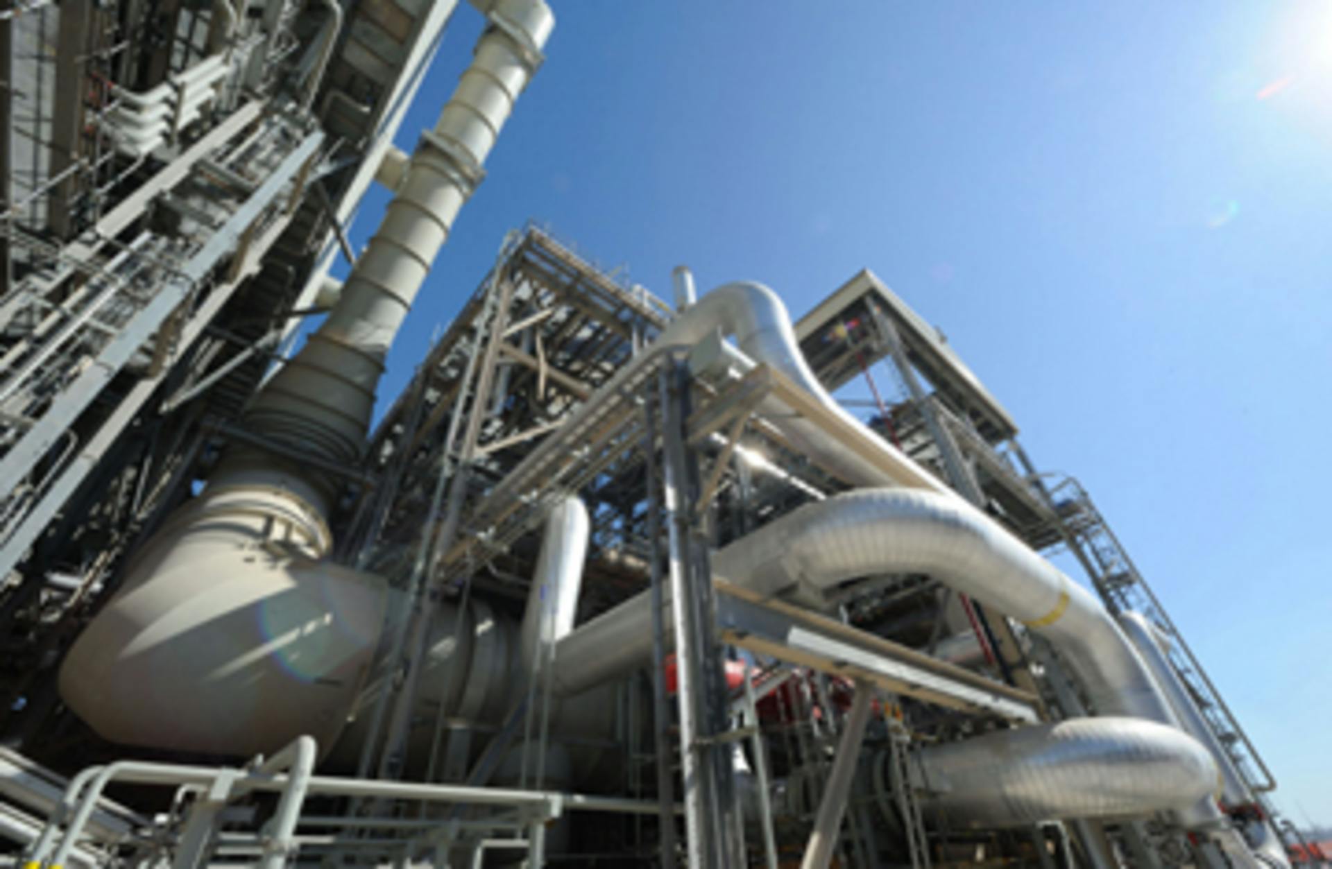 Shell Plant Source: Shell