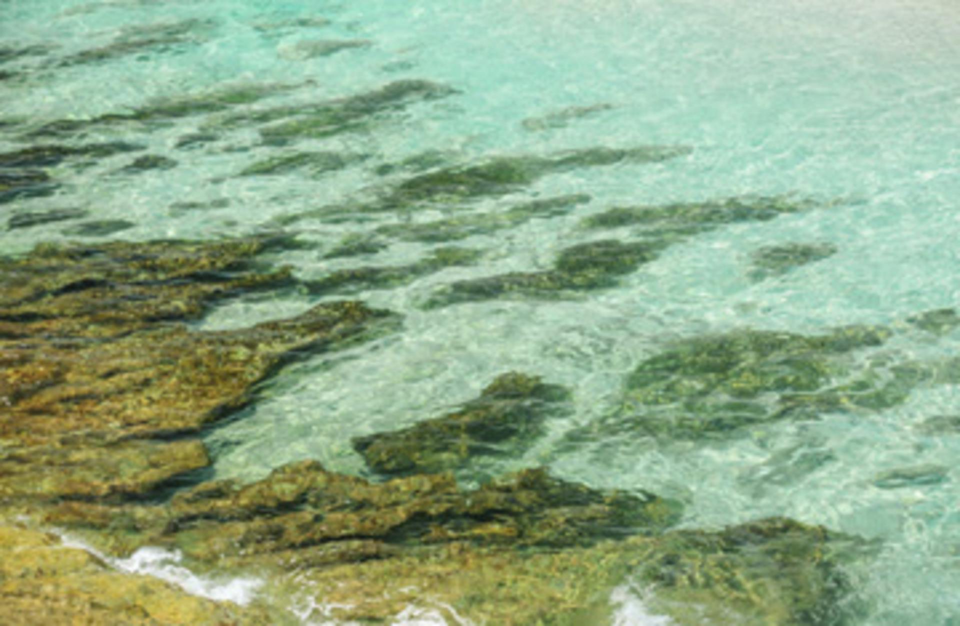 iStock_0000438848926_700