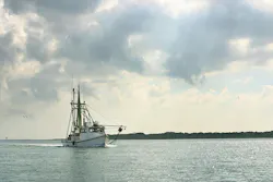 iStock/Willard