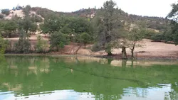 Toxic Microcystis algae (blue-green algae) grow in a large bloom in the Copco Reservoir on the Klamath River, posing health risks to people, pets and wildlife. (Photo courtesy of Oregon State University)