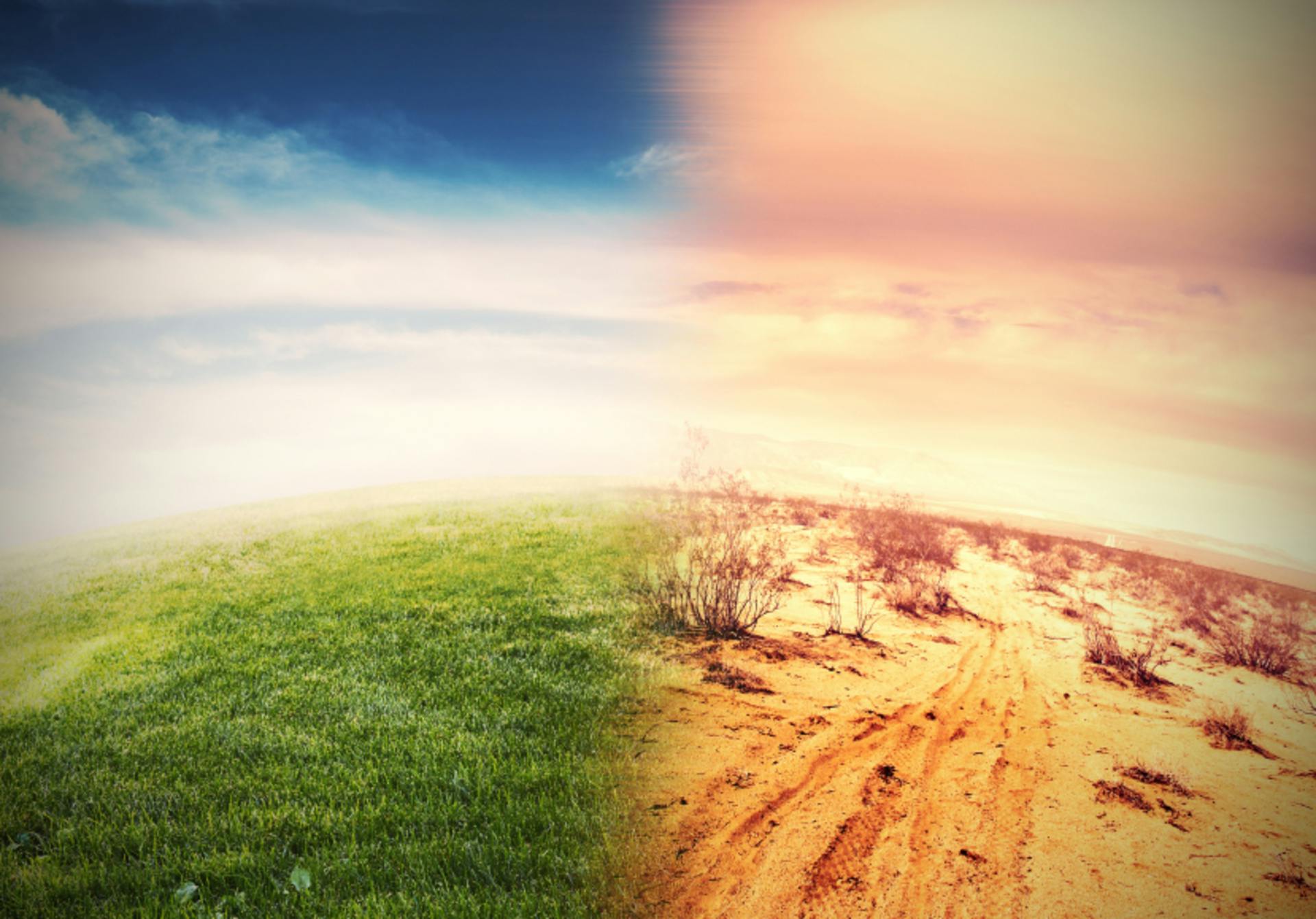 iStock/alphaspirit