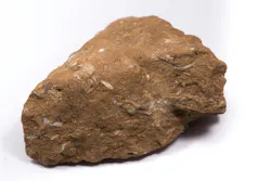 Oil shale stone. prim91/iStock Oil shale stone. prim91/iStock