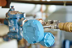 Figure 1. Monitoring a steam trap requires the addition of just one wireless acoustic transmitter. All graphics courtesy of Emerson Automation Solutions