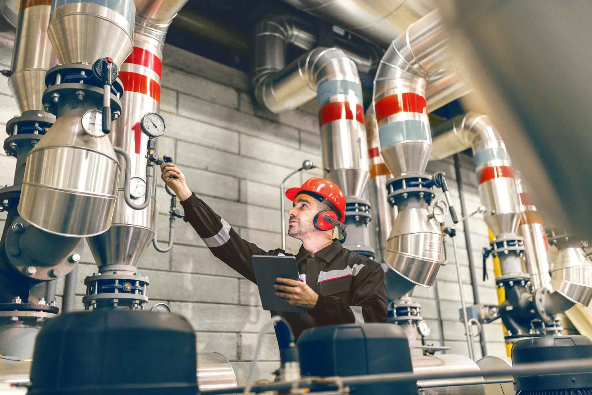 6970dac32503e67e09f194d2 Alicat Jan2021 Articleimage