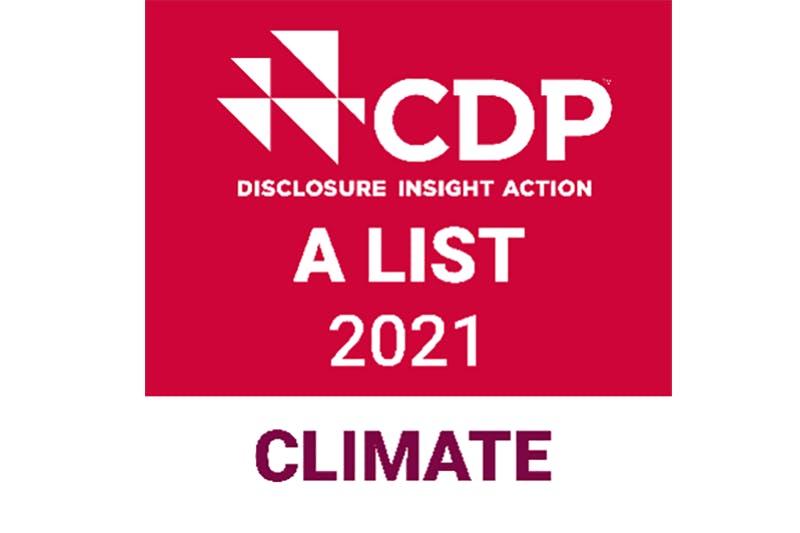 6970db7523bddf96e4a34c11 Picture1