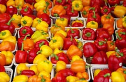 Vegetables Vegetables