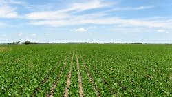 Ts 100394261 720x405 72dpi Rgb Ts 100394261 720x405 72dpi Rgb