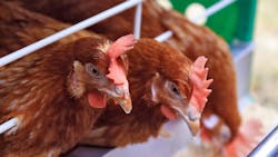 Ts 136608486 720x405 72dpi Rgb Ts 136608486 720x405 72dpi Rgb