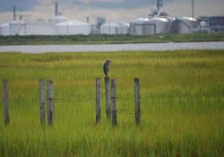 Cmc Dms7 72dpi Cmc Dms7 72dpi