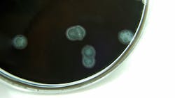 Ts 121883761 720x405 72dpi Rgb Ts 121883761 720x405 72dpi Rgb