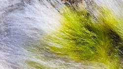 Ts 153567995 720x4051 Ts 153567995 720x4051