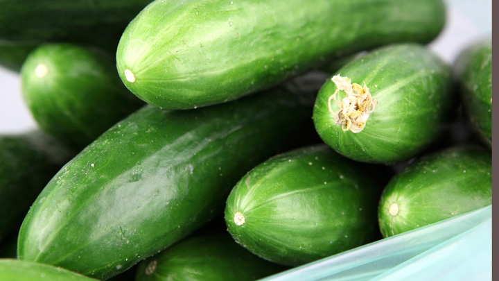 Salmonella Outbreak From Cucumbers Hits 73 People In 18 States ...