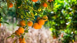 Ts 160337028 720x405 Ts 160337028 720x405