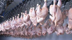 Ts 102771595 720x405 Ts 102771595 720x405