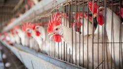 Ts 151524656 720x405 Ts 151524656 720x405