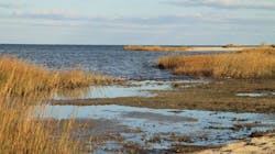 Ts 153701788 715x400 Ts 153701788 715x400