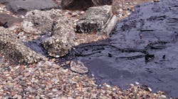 Ts 200247942 001 715x400 Ts 200247942 001 715x400