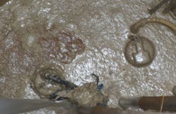 Kerr Photo 2 Alt 360x235 Kerr Photo 2 Alt 360x235