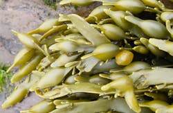 Vs Netzsch Case Story 3 2 360x235 Vs Netzsch Case Story 3 2 360x235