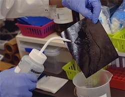 Pr Qut 058495 Pr Qut 058495