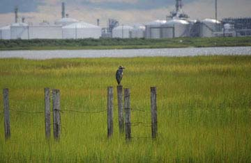 Dow Chemical Freeport