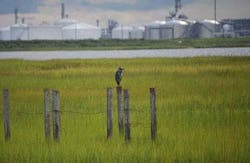 Dow Chemical Freeport Dow Chemical Freeport