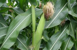 Cellulosic ethanol Cellulosic ethanol