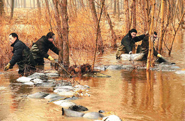 China-chemical-spill