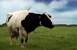 National Beef National Beef