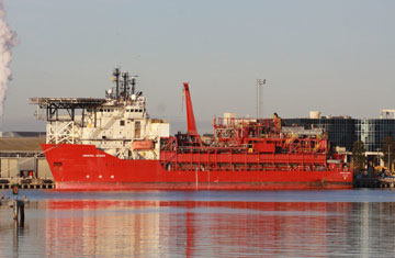 Wikipedia Commons/Marcus Wong