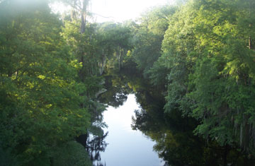 Wikipedia Commons/Ebyabe