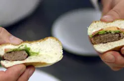 Photo courtesy of Maastricht University Photo courtesy of Maastricht University