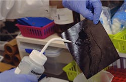 Photo courtesy QUT Photo courtesy QUT