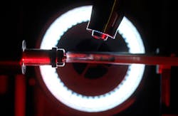 Photo copyright University of East Anglia (UEA) Photo copyright University of East Anglia (UEA)