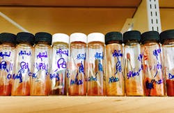 (Yale University) (Yale University)