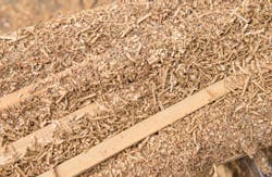 Photo courtesy KU Leuven Photo courtesy KU Leuven