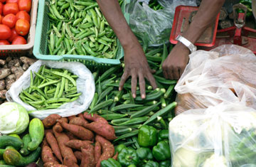 Bhupendra Singh/Hemera/iStockphoto