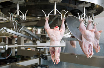 Roberto Manderioli/iStockphoto/Thinkstock