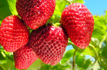 Yuriy Sukhovenko/iStockphoto/Thinkstock