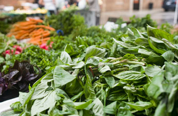 Cynthia Lindow/iStockphoto/Thinkstock