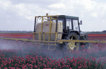 Ingram Publishing/Thinkstock