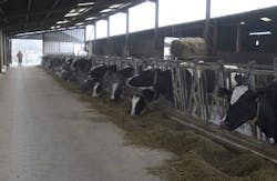 Ingram Publishing/Thinkstock Ingram Publishing/Thinkstock